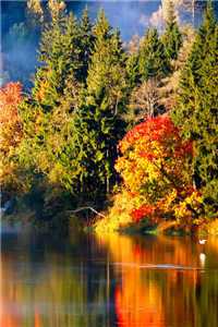  这系统够慈善周梦梦哥免费阅读最新章节列表（这系统够慈善）_这系统够慈善周梦梦_这系统够慈善周梦梦哥(这系统够慈善)全文免费阅读无弹窗大结局