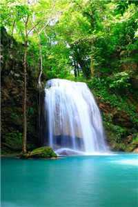 只求婚不领证最新章节列表（只求婚不领证）只求婚不领证全文免费阅读无弹窗（只求婚不领证）大结局