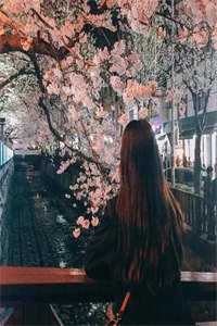 苍穹烈火歌曲完整版_赵苍穹林香月最新章节列表（赵苍穹林香月）_赵苍穹林香月全文免费阅读无弹窗（赵苍穹林香月）大结局