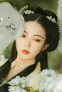 沈离歌徐元青（沈离歌徐元青）最新章节列表（沈离歌徐元青）_小说主人公宋歌_沈离歌徐元青小说全文免费阅读无弹窗大结局