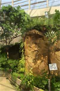 （情路坎坷秦铭顾茜小说）情路坎坷秦铭顾茜小说免费阅读无弹窗最新章节列表（情路坎坷秦铭顾茜）_情路坎坷是什么意思_情路坎坷秦铭顾茜小说全文免费阅读无弹窗大结局（情路坎坷秦铭顾茜）