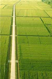 沈离歌徐元青小说名字叫什么_沈离歌 徐元青小说（沈离歌徐元青）最新章节列表（沈离歌徐元青）_沈离歌 徐元青（沈离歌徐元青）全文免费阅读无弹窗大结局