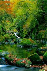 (顶流被我鸽后,他将我曝光了免费阅读)顶流被我鸽后,他将我曝光了最新章节列表（顶流被我鸽后,他将我曝光了）_顶流被我鸽后,他将我曝光了全文免费阅读（顶流被我鸽后,他将我曝光了）无弹窗大结局_顶流被我鸽后宋栖简寒舟免费阅读