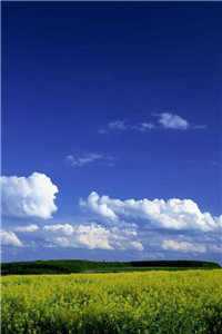 梦回反派结局（梦回反派结局）全文免费阅读无弹窗大结局_（梦回反派结局）梦回反派结局最新章节列表（梦回反派结局）_梦回剧情介绍大结局