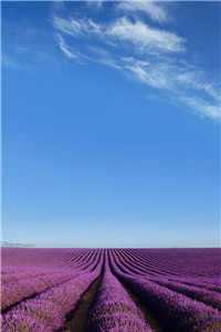 琉璃信仰(昭和昭阳)全文免费阅读无弹窗大结局_(琉璃信仰免费阅读全文大结局)最新章节列表（琉璃信仰）_琉璃信仰小说