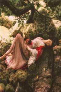 （成熟玫瑰全文免费阅读）成熟玫瑰最新章节列表（陈伯彦江警官）_成熟玫瑰 陈伯彦_成熟玫瑰(陈伯彦江警官)小说全文免费阅读无弹窗大结局