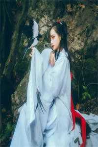 叶枫白苏苏（梦回反派结局）全文免费阅读无弹窗大结局_(叶枫白苏苏)叶枫白苏苏免费阅读全文最新章节列表（梦回反派结局）_梦回剧情介绍大结局