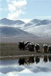 爱情如此渺茫（爱情如此渺茫）全文免费阅读无弹窗大结局_爱情如此渺茫知乎_（爱情如此渺茫）爱情如此渺茫最新章节列表（爱情如此渺茫）