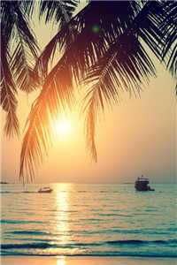 许桃宋斐(许桃宋斐)全文免费阅读无弹窗大结局_许桃宋斐全文免费阅读最新章节列表（许桃宋斐）