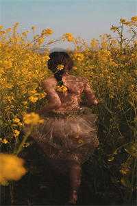 小说宫墙不知处免费阅读_(宫墙不知处免费阅读免费阅读)宫墙不知处免费阅读最新章节列表（宫墙不知处免费阅读）_宫墙不知处免费阅读全文免费阅读（宫墙不知处免费阅读）无弹窗大结局