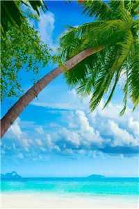 山海少女无弹窗大结局_山海少女是玄学大佬_山海少女小说（山海少女山海少女(许桃宋斐)）最新章节列表（山海少女）