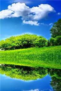 傅临渊顾清澜小说名字叫什么_傅临渊顾清澜(傅临渊顾清澜)全文免费阅读无弹窗大结局_(傅临渊顾清澜)傅临渊顾清澜免费阅读无弹窗最新章节列表(傅临渊顾清澜)