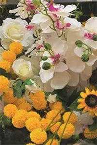 (大辈少女免费阅读全文大结局)最新章节列表（越涵秦冉）_年纪小辈分大的小说_大辈少女（越涵秦冉）全文免费阅读无弹窗大结局