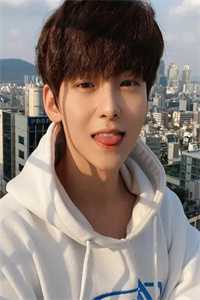 天降苏哥哥小说(路可可苏见白)小说免费阅读-天降苏哥哥全文阅读_天降苏哥哥在哪看