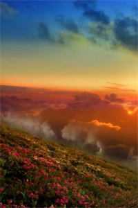 邪王缠上身:神医毒妃不好惹全文免费阅读无弹窗大结局_ (邪王缠上身:神医毒妃不好惹战北寒萧令月)邪王缠上身:神医毒妃不好惹最新章节列表（邪王缠上身:神医毒妃不好惹）_