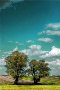 彼此的死穴(司年林水婳)全文免费阅读无弹窗大结局_ 彼此的死穴免费阅读最新章节列表（司年林水婳）_