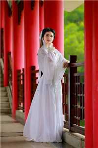 白晓月席泽全文免费阅读无弹窗大结局（白晓月席泽）（白晓月席泽 免费阅读）白晓月席泽免费阅读最新章节列表（白晓月席泽）