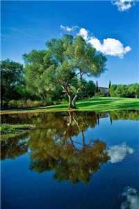 （沈思谦林一婵）挂前任的号小说全文免费阅读最新章节列表（沈思谦林一婵）_挂前任的号（沈思谦林一婵）小说全文免费阅读无弹窗大结局_挂前任的号小说