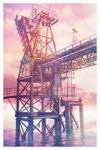 苏颜惜司霆舟（苏颜惜司霆舟）全文免费阅读无弹窗大结局_小说女主苏颜男主司霆舟_（苏颜惜司霆舟）苏颜惜司霆舟全文最新章节列表（苏颜惜司霆舟）