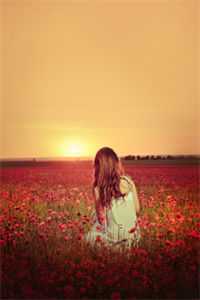 苏颜惜司霆舟小说叫什么名字_（苏颜惜司霆舟全文免费阅读）苏颜惜司霆舟最新章节列表（苏颜惜司霆舟）_苏颜惜司霆舟全文免费阅读无弹窗大结局（苏颜惜司霆舟）