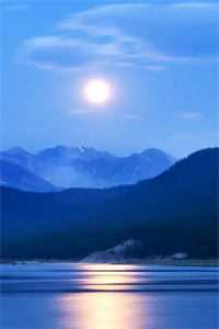 林浅浅陆森南的小说叫什么_(林浅浅陆森南免费阅读全文大结局)最新章节列表（陆森南林浅浅）_林浅浅陆森南(陆森南林浅浅)全文免费阅读无弹窗大结局