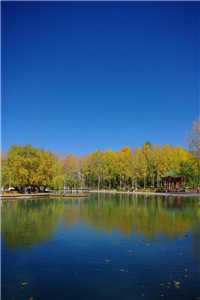 (宋绛婉沈柘小说)宋绛婉沈柘小说免费阅读无弹窗最新章节列表(宋绛婉沈柘小说)_宋柘陈漪小说免费阅读_宋绛婉沈柘小说(宋绛婉沈柘小说)全文免费阅读无弹窗大结局