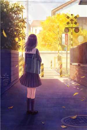 十里红妆楚燕楠沈子墨_十里红妆梦小说全文免费阅读无弹窗大结局（十里红妆梦）_（十里红妆梦小说）十里红妆梦小说免费阅读无弹窗最新章节列表（十里红妆梦）