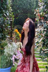 神医弃妃很逆天小说下载_(苏雪东方问天)苏雪神医弃妃很逆天最新章节列表（苏雪神医弃妃很逆天）_苏雪神医弃妃很逆天（苏雪东方问天）全文免费阅读无弹窗大结局