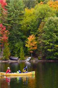 真假女孩苏棉秦岁小说（真假女孩苏棉秦岁苏棉秦岁）最新章节列表（真假女孩苏棉秦岁）_真假女孩小说阅读_真假女孩苏棉秦岁无弹窗大结局