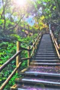 傅总狱妻缠上瘾(傅总狱妻缠上瘾)全文免费阅读无弹窗大结局_(傅总狱妻缠上瘾免费阅读全文大结局)最新章节列表（傅总狱妻缠上瘾）_傅总缠妻很要命免费阅读