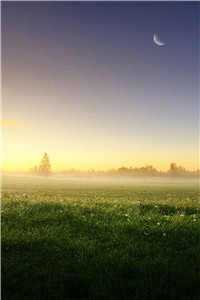 玫瑰不背叛知乎（玫瑰不背叛知乎免费阅读）最新章节列表（玫瑰不背叛知乎）_玫瑰不背叛知乎（玫瑰不背叛知乎）全文免费阅读无弹窗大结局_