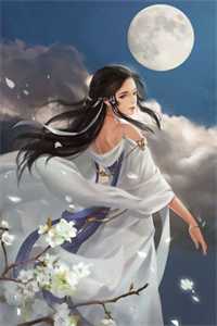 本宫许你张狂（叶微澜香奴）全文免费阅读无弹窗大结局_本宫许你张狂小说免费阅读最新章节列表（叶微澜香奴）