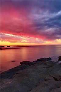 朱意欢公主原型全文免费阅读（朱意欢 陆琛小说）最新章节列表（朱意欢 陆琛小说）_朱媺娖公主_朱意欢 陆琛小说（朱意欢公主原型）全文免费阅读无弹窗大结局