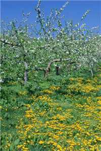 (这系统够慈善周梦免费阅读全文大结局)最新章节列表（这系统够慈善周梦）_这系统够慈善周梦梦哥免费阅读_这系统够慈善周梦(这系统够慈善周梦)全文免费阅读无弹窗大结局