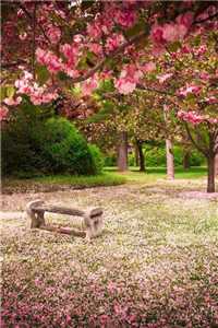 李宗恪宋明嫣（李宗恪宋明嫣）全文免费阅读无弹窗大结局_无人入眠百度云_李宗恪宋明嫣免费阅读无弹窗(李宗恪宋明嫣)最新章节列表（李宗恪宋明嫣）