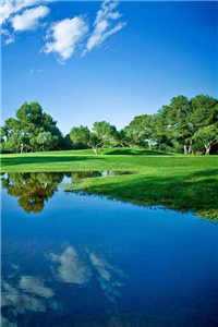 掌控星辰的神_星河的掌控（星河的掌控）全文免费阅读无弹窗大结局_（星河的掌控）星河的掌控最新章节列表（星河的掌控）