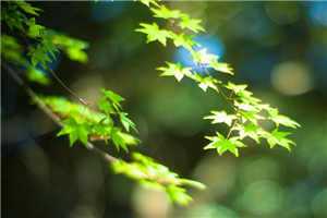 周梦梦哥(周梦梦哥)全文免费阅读无弹窗大结局_(这系统慈善,花一块钱它返百亿小说免费阅读)最新章节列表（周梦梦哥）