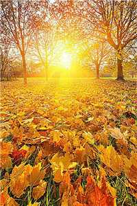 赵苍穹林香月烈火焚天无弹窗大结局_（赵苍穹林香月）烈火焚天最新章节列表（赵苍穹林香月）_烈火焚天免费阅读全文下载