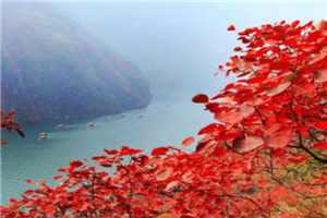 （烈火焚天）烈火焚天最新章节列表（烈火焚天）_烈火焚天赵苍穹免费阅读_烈火焚天全文免费阅读无弹窗大结局