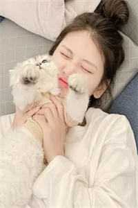 秦铭和顾茜情路坎坷免费阅读_情路坎坷（秦铭顾茜）全文免费阅读无弹窗大结局_（秦铭顾茜）情路坎坷全文免费阅读（秦铭顾茜）