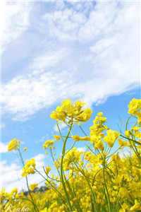 赵清婉楚延琛全文免费阅读（赵清婉楚延琛）最新章节列表（赵清婉楚延琛）_赵清婉楚延琛（赵清婉楚延琛）全文免费阅读无弹窗大结局_抖音赵清婉楚延琛的小说叫什么