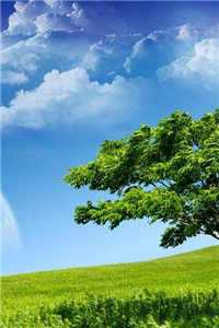 陆时予吴虞小说免费观看（陆时予吴虞小说免费观看）全文免费阅读无弹窗大结局_陆时予吴虞小说免费观看全文免费阅读（陆时予吴虞小说免费观看）最新章节列表（陆时予吴虞小说免费观看）