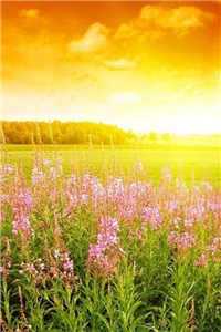 (不见忧怜小说宁琪)不见忧怜小说宁琪免费阅读全文最新章节列表（不见忧怜）_不见犹怜小说宁琪在线阅读_不见忧怜小说宁琪（不见忧怜）全文免费阅读无弹窗大结局