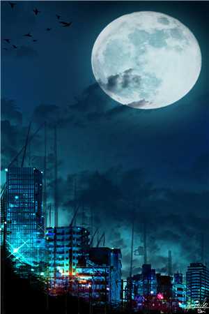 弃妃逆袭邪王日日追妻忙免费阅读笔趣阁_ (弃妃逆袭:邪王日日追妻忙战北寒萧令月)弃妃逆袭:邪王日日追妻忙最新章节列表（战北寒萧令月）_弃妃逆袭:邪王日日追妻忙（战北寒萧令月）全文免费阅读无弹窗大结局