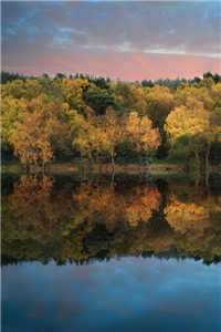 （萧漓凌宸澔）最新章节列表（萧漓凌宸澔）_凌兮凌枫萧_萧漓凌宸澔（萧漓凌宸澔）全文免费阅读