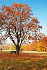  (霍司砚温知羽小说免费阅读)最新章节列表（霍司砚温知羽）_霍司砚温知羽(霍司砚温知羽)全文免费阅读无弹窗大结局