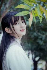 后宫灯火在线阅读最新章节列表（祁崟流离）后宫灯火小说(祁崟流离)全文免费阅读