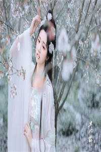 魏夫人为什么做不了皇后_陛下该唤我魏夫人知乎(薛平贵王宝钏)全文免费阅读_(陛下该唤我魏夫人知乎)薛平贵王宝钏免费阅读