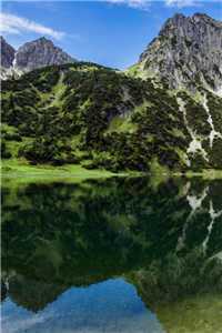 宋绛婉沈柘(宋绛婉沈柘)全文免费阅读无弹窗大结局_宋绛婉沈柘免费_宋绛婉沈柘全文免费阅读最新章节列表（宋绛婉沈柘）