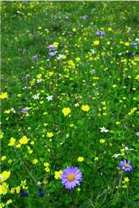 宁野甄宝凤什么小说_穿越八零宁野甄宝凤（宁野甄宝凤）全文免费阅读无弹窗大结局_穿越八零宁野甄宝凤（穿越八零宁野甄宝凤免费阅读）最新章节列表（宁野甄宝凤）